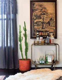 A Shop Owner's Ever-Evolving Pad in Nashville, TN, Design*Sponge