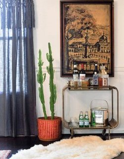 A Shop Owner's Ever-Evolving Pad in Nashville,  TN,  Design*Sponge