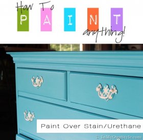 How-to-Paint-Anything-Woo